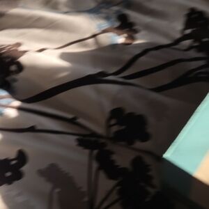 Toms Women's Sneakers - Black and White